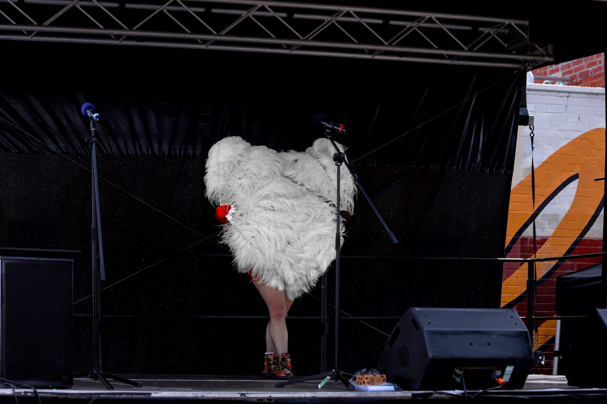 Photographer 1 Yarraville Festival