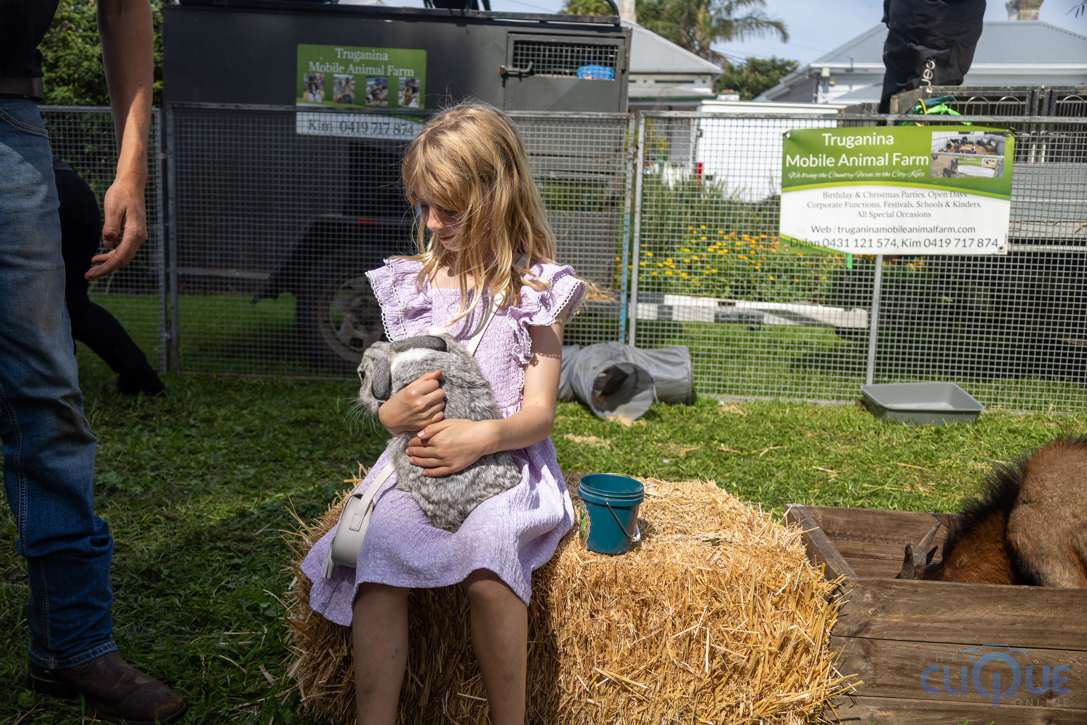 Photographer 2 Yarraville Festival