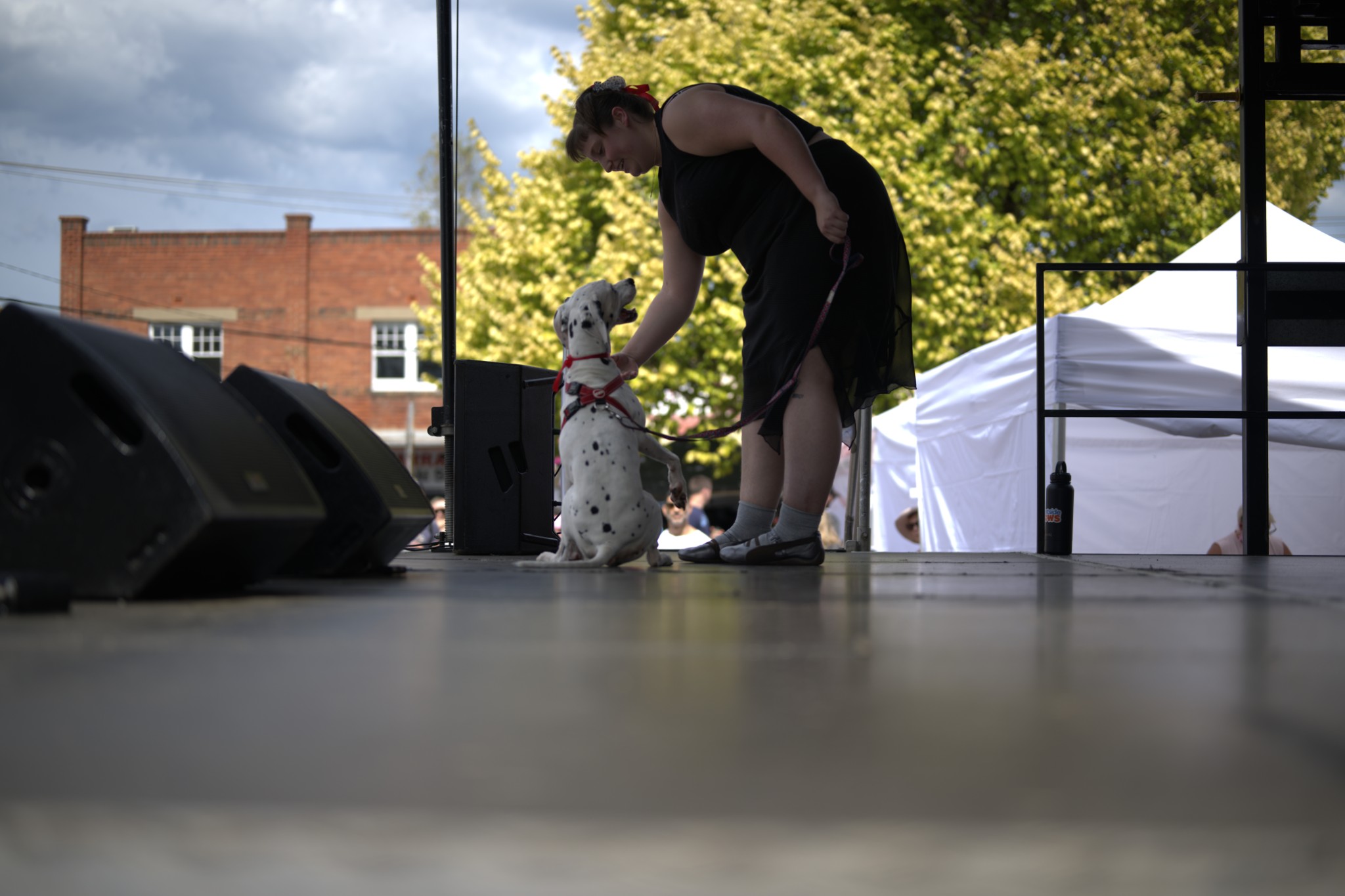 Sean Miller Yarraville Festival
