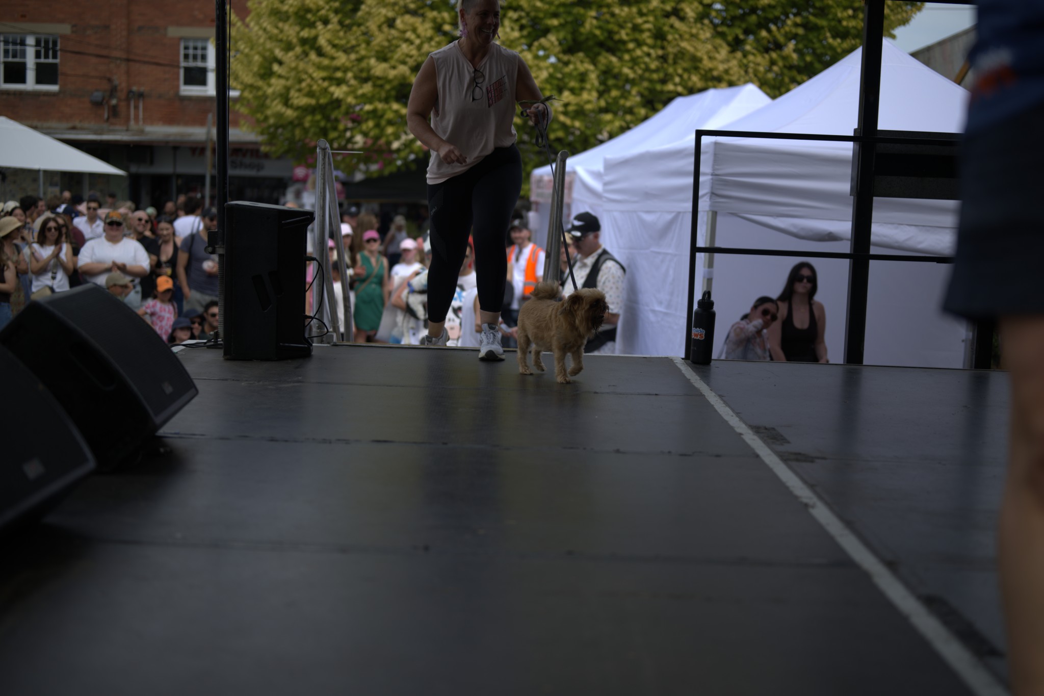 Sean Miller Yarraville Festival