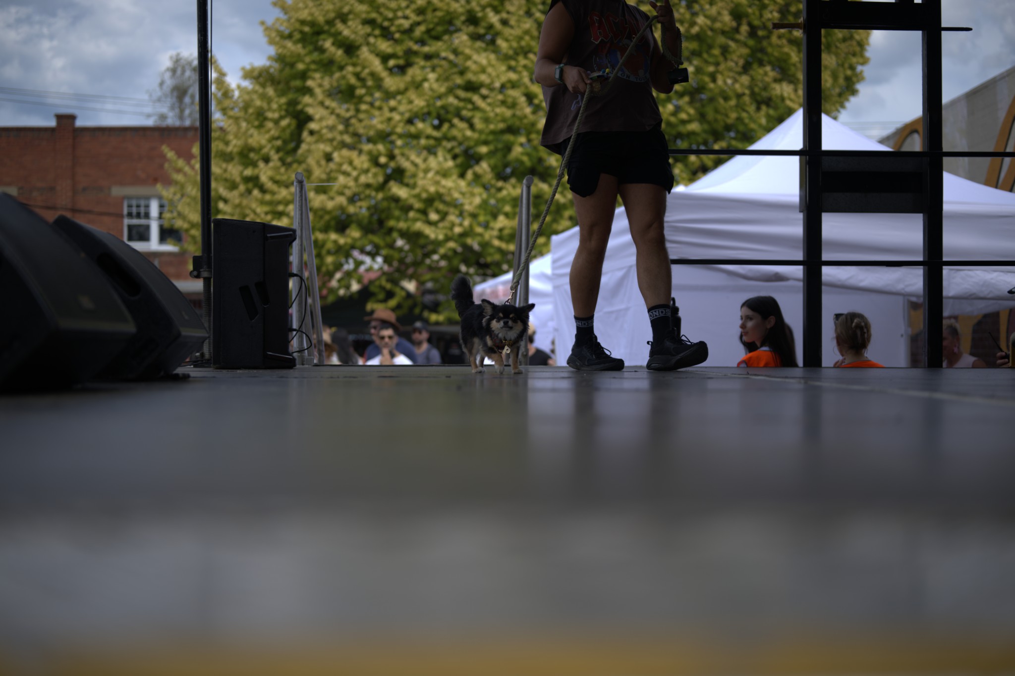 Sean Miller Yarraville Festival