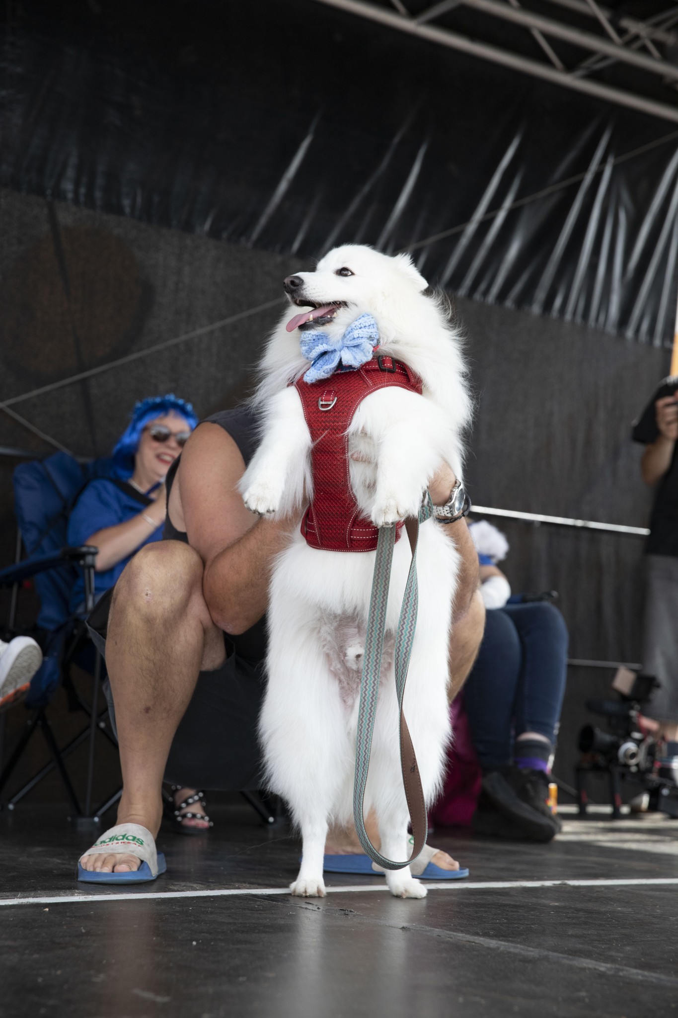 Zerin Osman Yarraville Festival